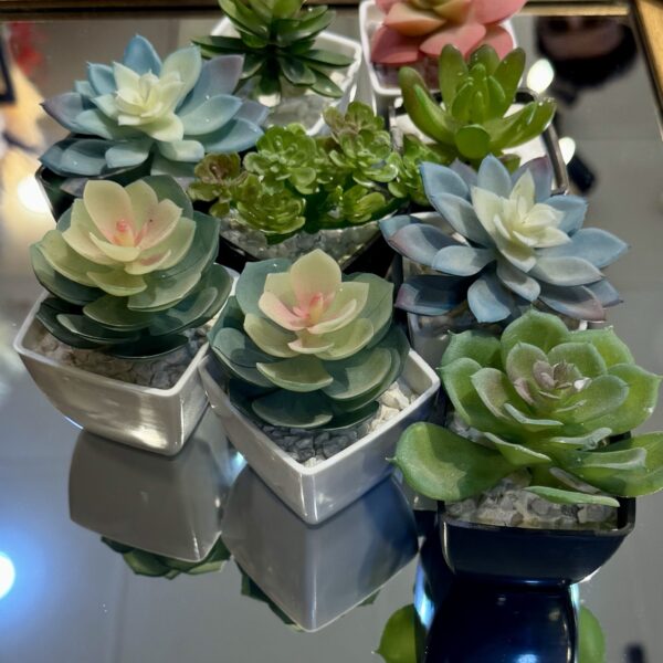 Triangle cactus pot