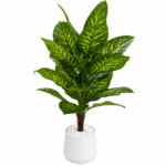 4 Feet Artificial Dieffenbachia Plant with Pot Realistic Large Green Floor Plant for Home & Office Décor - Image 3