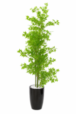 8FT Premium Artificial Maple Tree with Black Planter | Neem Plant - Image 4