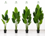 Premium Artificial Bird of Paradise Plant | Realistic Tropical Indoor Plant – 8, 10, 12 & 15 Leaves