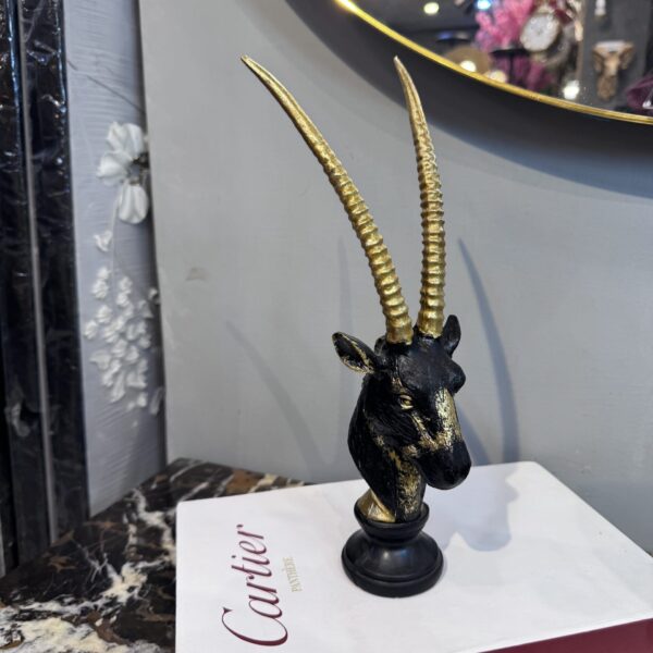 Markhor Face