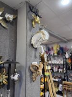Fiber Deer - Markhor - Horse Faces